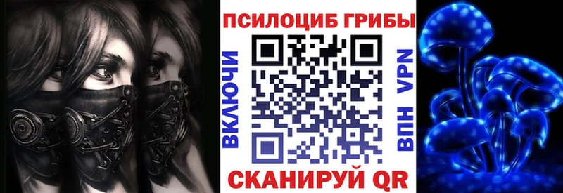 Псилоцибиновые грибы Psilocybe  kraken   Называевск  купить наркоту 